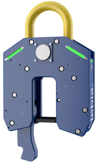 NEO100 NEO100 lifting hook